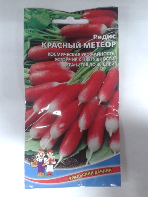 Редис_Красный Метеор_2_г._Уральский Дачник