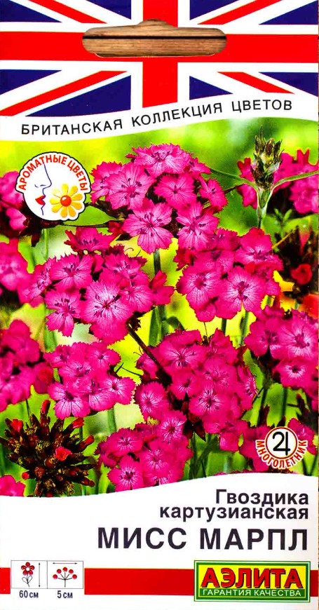 Гвоздика_Мисс Марпл (картузианская) (Британская Коллекция)_0,05_г._Аэлита