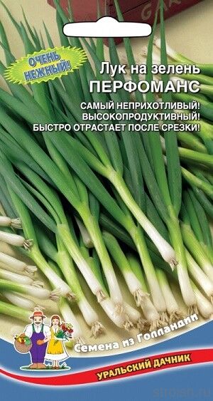 Лук_Перфоманс (на зелень) (Голландия)_0,3_г._Уральский Дачник