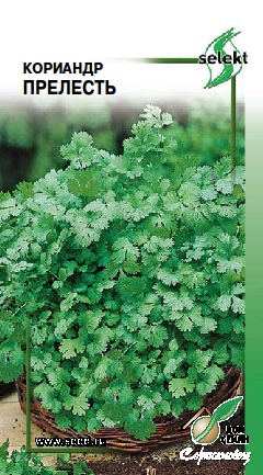Кориандр (кинза)_Прелесть_130_шт._Дом Семян С-П