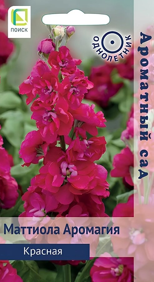 Левкой (маттиола)_Аромагия Красная (Ароматный сад)_0,04_г._Поиск