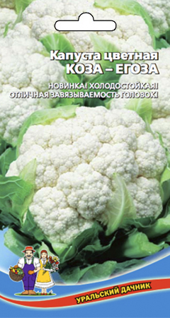Капуста_цветная_Коза Егоза_0,3_г._Уральский Дачник