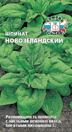 Шпинат_Новозеландский_1_г._Седек