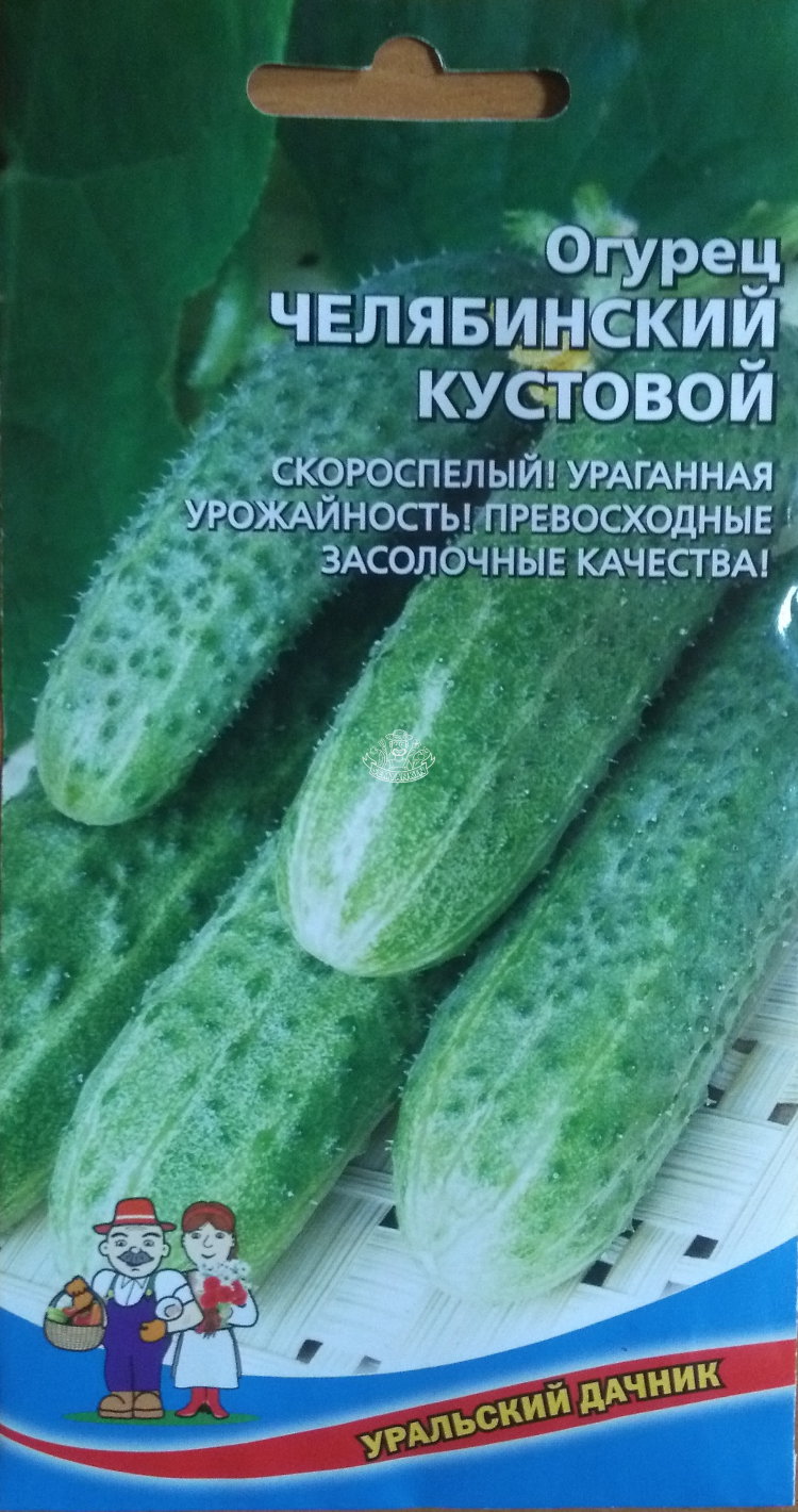 Огурец_Челябинский Кустовой_12_шт._Уральский Дачник