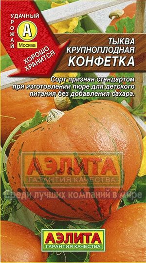 Тыква_Конфетка_2_г._Аэлита