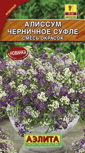 Алиссум (лобулярия)_Черничное суфле см_0,1_г._Аэлита