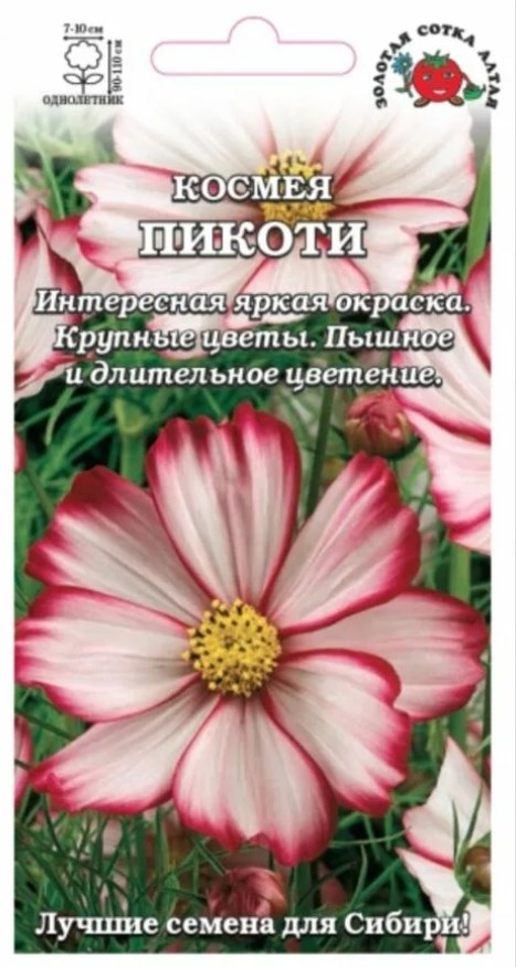 Космея_Пикоти_0,04_г._Золотая Сотка Алтая