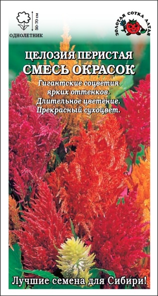 Целозия_Перистая см_0,3_г._Золотая Сотка Алтая