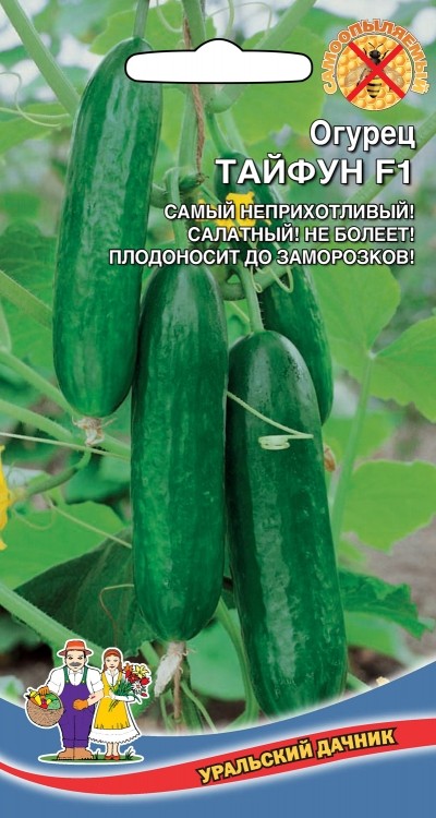 Огурец_Тайфун F1_5_шт._Уральский Дачник