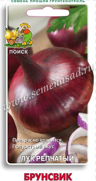 Лук_Брунсвик (на репку)_1_г._Поиск