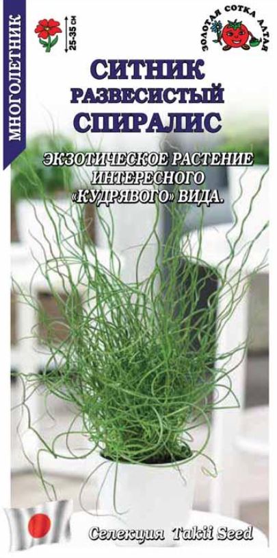 Ситник_Спиралис (развесистый) (злак)_0,04_шт._Золотая Сотка Алтая