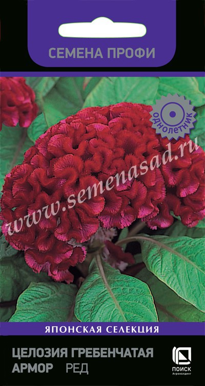 Целозия_Армор Ред (гребенчатая)_15_шт._Поиск