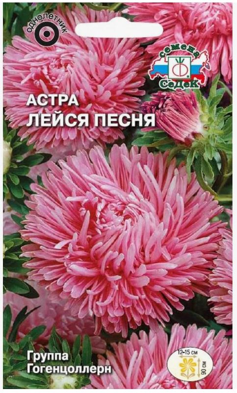 Астра_Лейся Песня (лососевая)_0,1_г._Седек