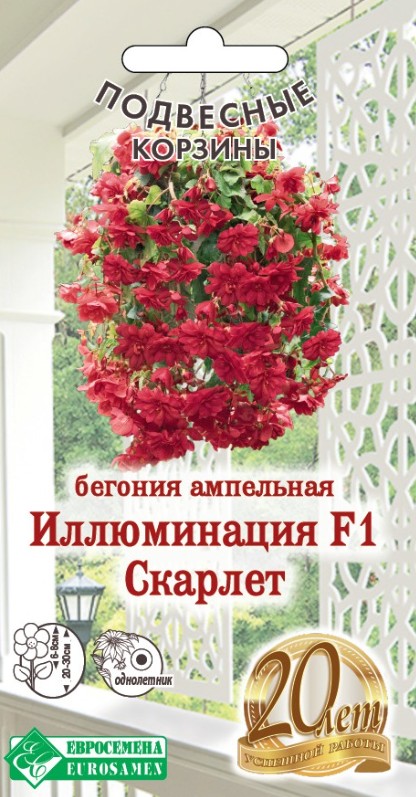 Бегония_Иллюминация Скарлет F1 (Подвесные Корзины)_5_шт._ЕВРОСЕМЕНА