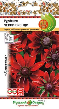 Рудбекия_Черри Бренди_30_шт._НК