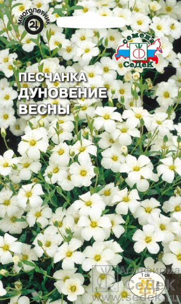 Песчанка (аренария)_Дуновение Весны_0_г._Седек