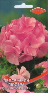 Герань (Пеларгония)_Люстра Светло-розовая_4_шт._Дом Семян С-П