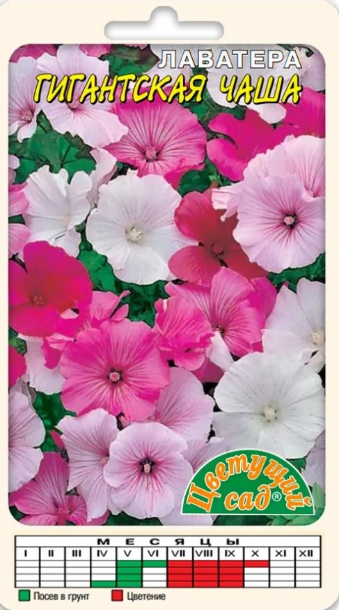 Лаватера (хатьма)_Гигантская чаша см_0,04_г._Цветущий Сад