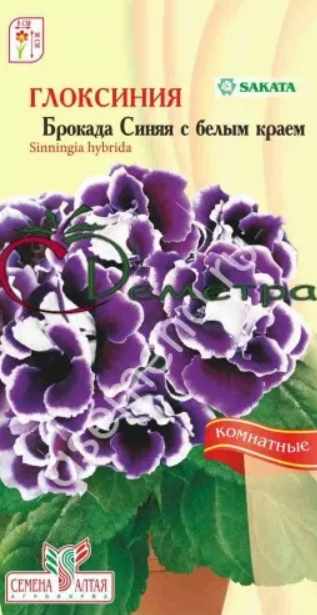 Глоксиния_Брокада Синяя с белым краем (Sakata) (махр)_0,04_шт._Семена Алтая