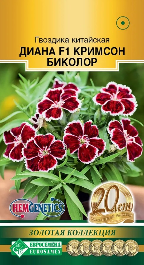 Гвоздика_Диана Кримсон биколор (Золотая Коллекция)_5_шт._ЕВРОСЕМЕНА