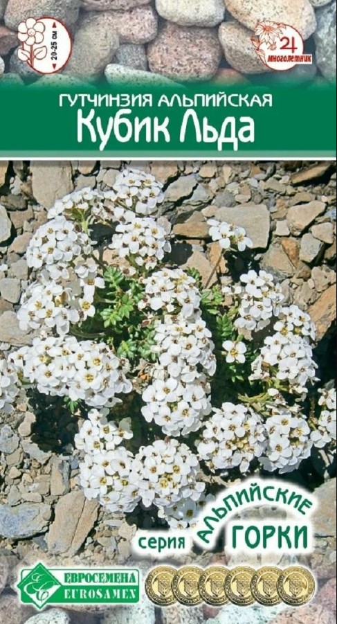 Алиссум (лобулярия)_Кубик Льда (гутчинзия) (Альпийская Горка)_5_шт._ЕВРОСЕМЕНА