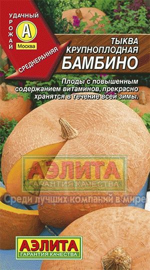 Тыква_Бамбино_1_г._Аэлита