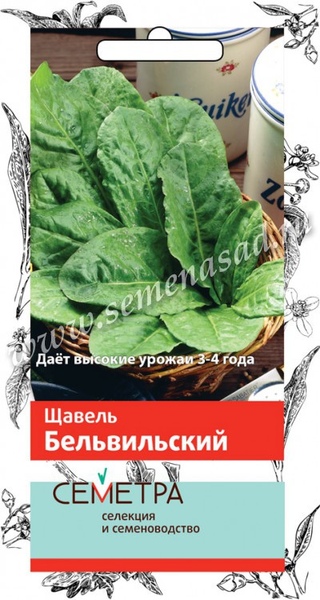 Щавель_Бельвильский (Семетра)_1_г._Поиск