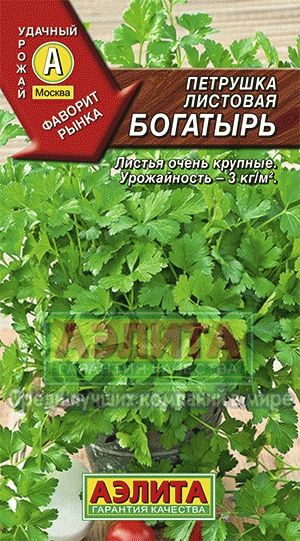 Петрушка_Богатырь_2_г._Аэлита