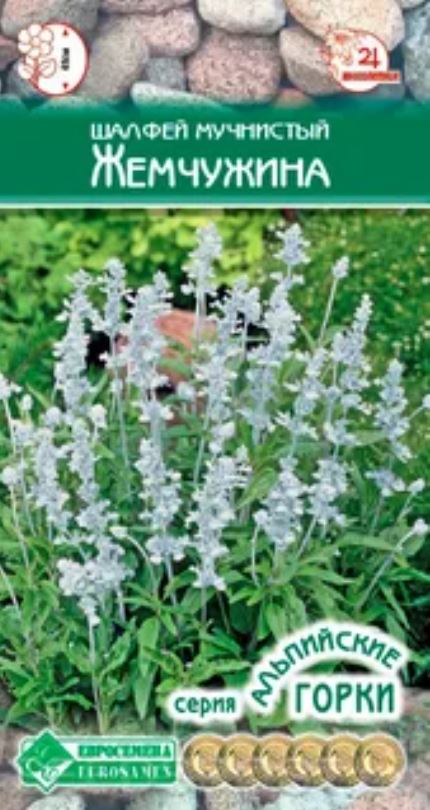 Сальвия (шалфей)_Жемчужина (мучнистая) (Альпийская Горка)_0,04_шт._ЕВРОСЕМЕНА