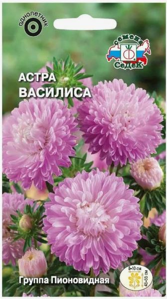 Астра_Василиса (пионовидная, розовая)_0,2_г._Седек