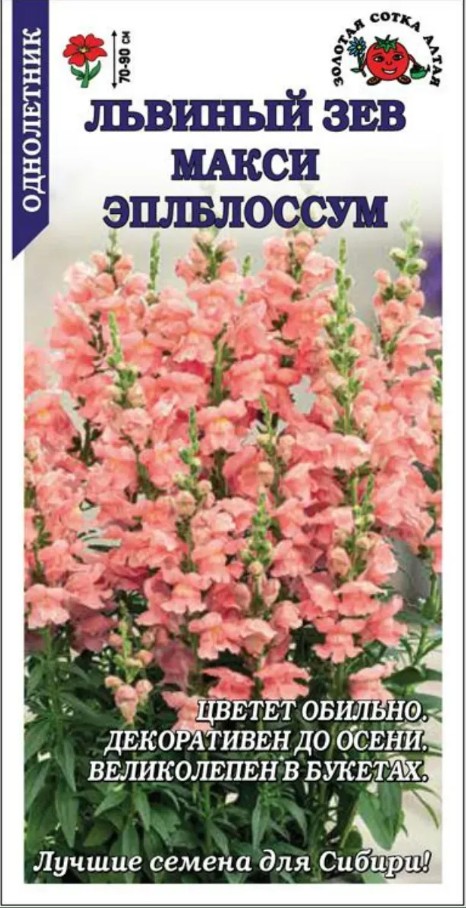 Львиный зев (антирринум)_Макси Эплблоссум_0,1_г._Золотая Сотка Алтая