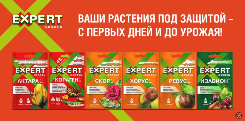 АКТУАЛЬНЫЙ АССОРТИМЕНТ ИЮНЬ-ИЮЛЬ!