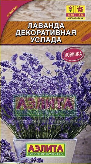 Лаванда_Услада декоративная_0,1_г._Аэлита