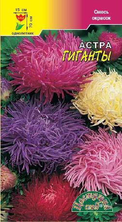 Астра_Гиганты см (хризантемовидная)_0,2_г._Цветущий Сад