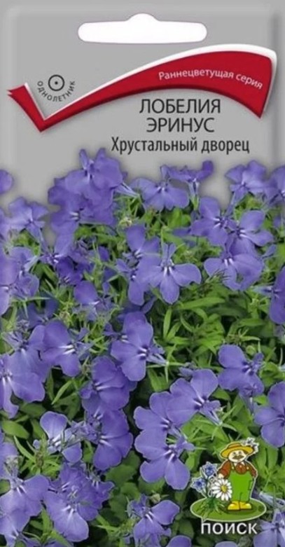 Лобелия_Хрустальный Дворец_0,1_г._Поиск