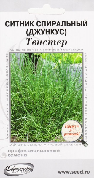 Ситник_спиральный Твистер (злак)_3_шт._Дом Семян С-П