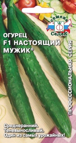 Огурец_Настоящий Мужик F1_0,2_г._Седек