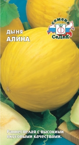 Дыня_Алина ран_0,5_г._Седек