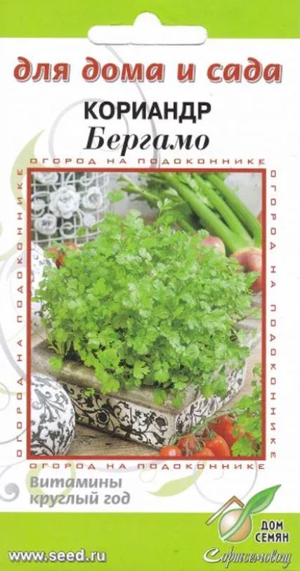 Кориандр (кинза)_Бергамо (Для дома и сада)_0,04_шт._Дом Семян С-П
