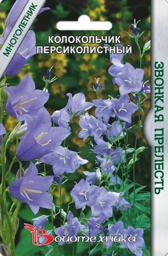 Колокольчик_Звонкая Прелесть (персиколистный)_0,04_шт._Биотехника