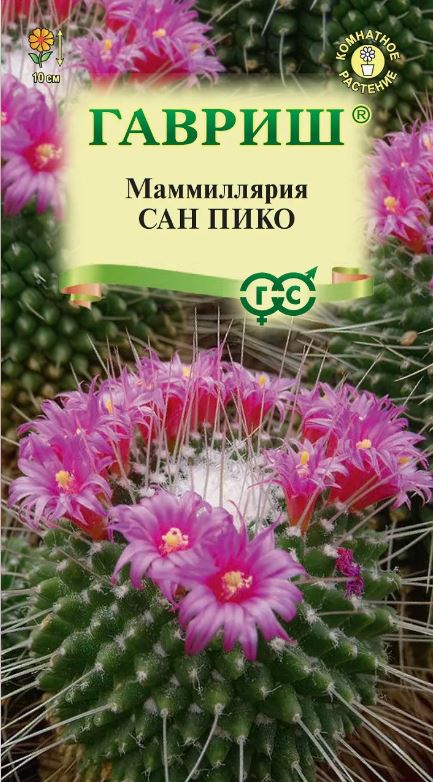 Кактусы_Маммиллярия Сан Пико_2_шт._Гавриш