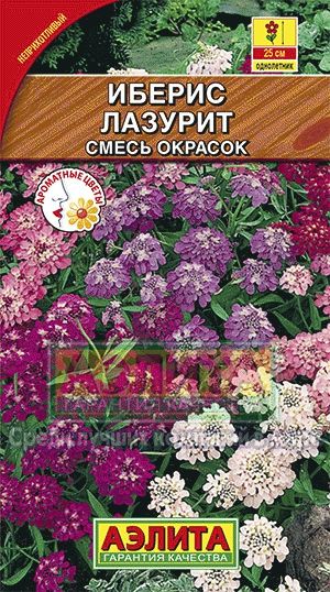 Иберис_смесь Лазурит_0,1_г._Аэлита