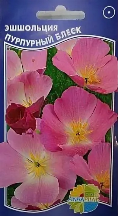 Эшшольция_Пурпурный Блеск_0,2_г._Акварель