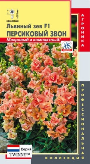 Львиный зев (антирринум)_Твинни персиковый махр_10_шт._Акварель