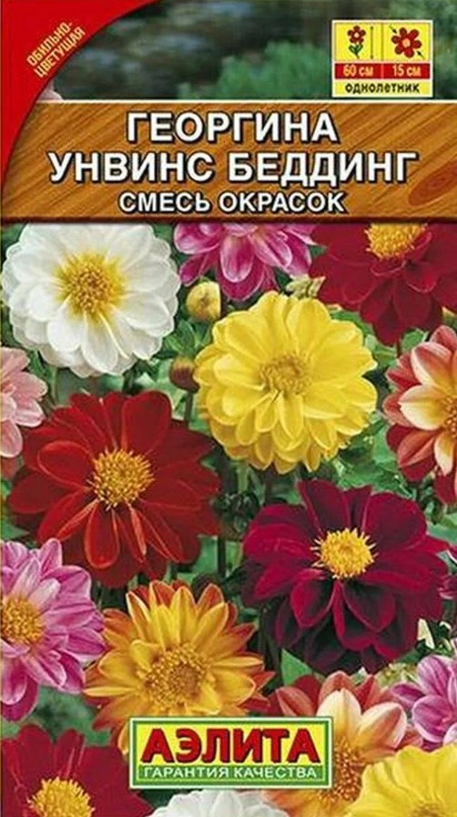 Георгин_Анвинс Беддинг см_0,2_г._Аэлита Э