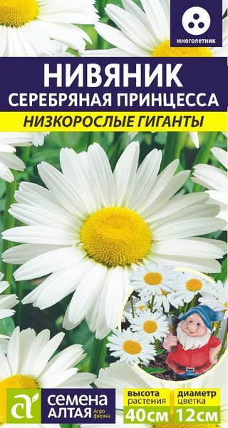 Нивяник_Серебряная принцесса (карлик)_0,1_г._Семена Алтая