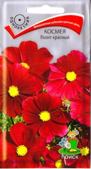 Космея_Яхонт красный_0,1_г._Поиск