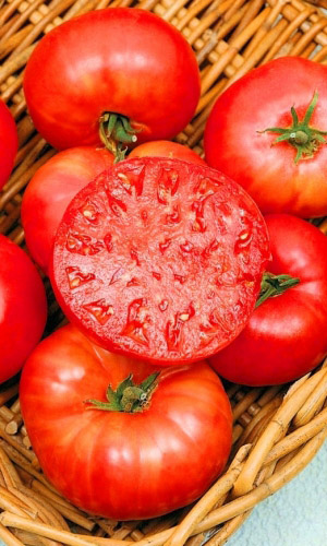 Томат_Бифштекс мясистого типа_20_шт._Уральский Дачник