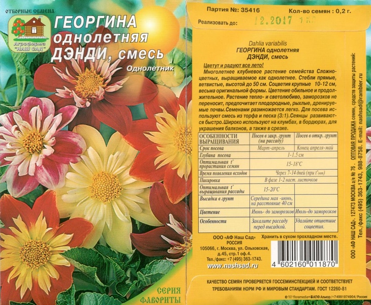 Георгин_Денди см_0,2_г._Наш Сад