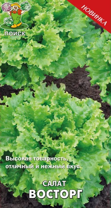 Салат_Восторг (лист)_1_г._Поиск